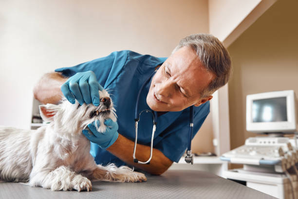 Best Pediatric Emergency Dentist in Lakeway, TX
