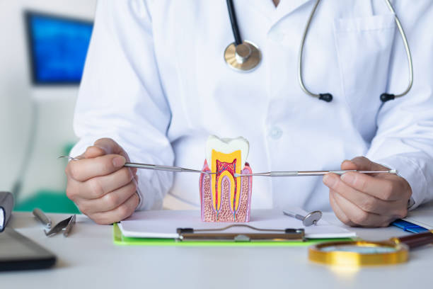Best Emergency Dentist for Knocked-Out Tooth in Lakeway, TX